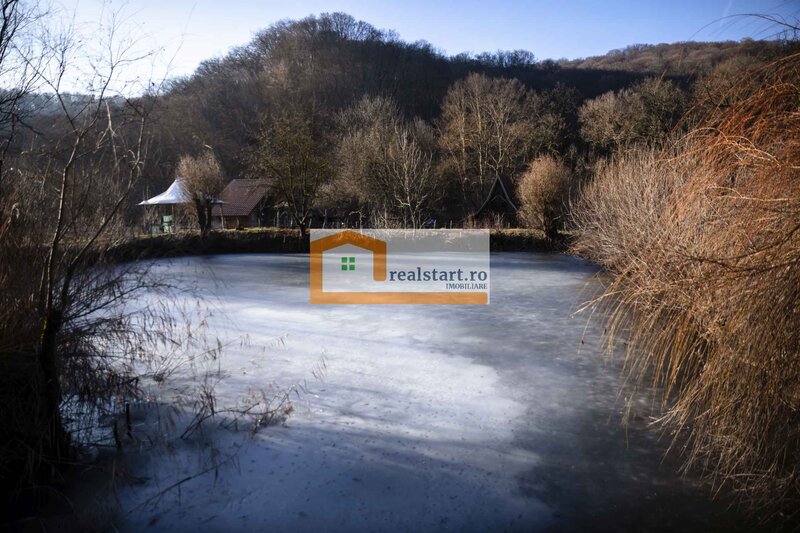Ideal Evenimente Private, restaurant, pensiune, 1,8ha teren, padure