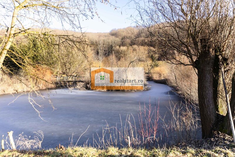 Ideal Evenimente Private, restaurant, pensiune, 1,8ha teren, padure